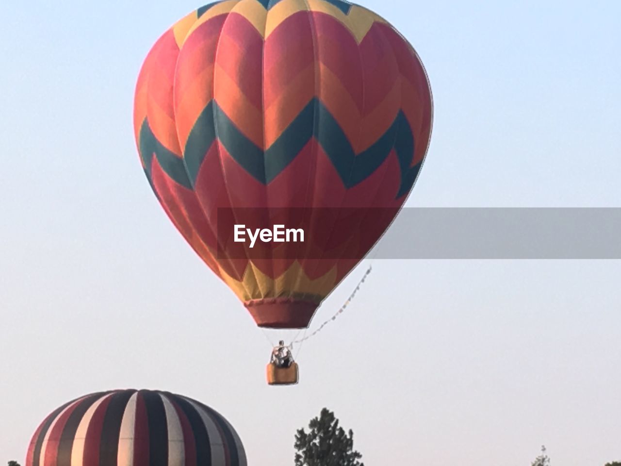 Hot air balloons flying against clear sky