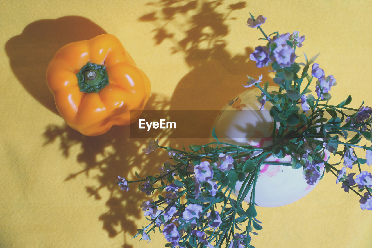 High angle view of purple flowering plant on yellow table