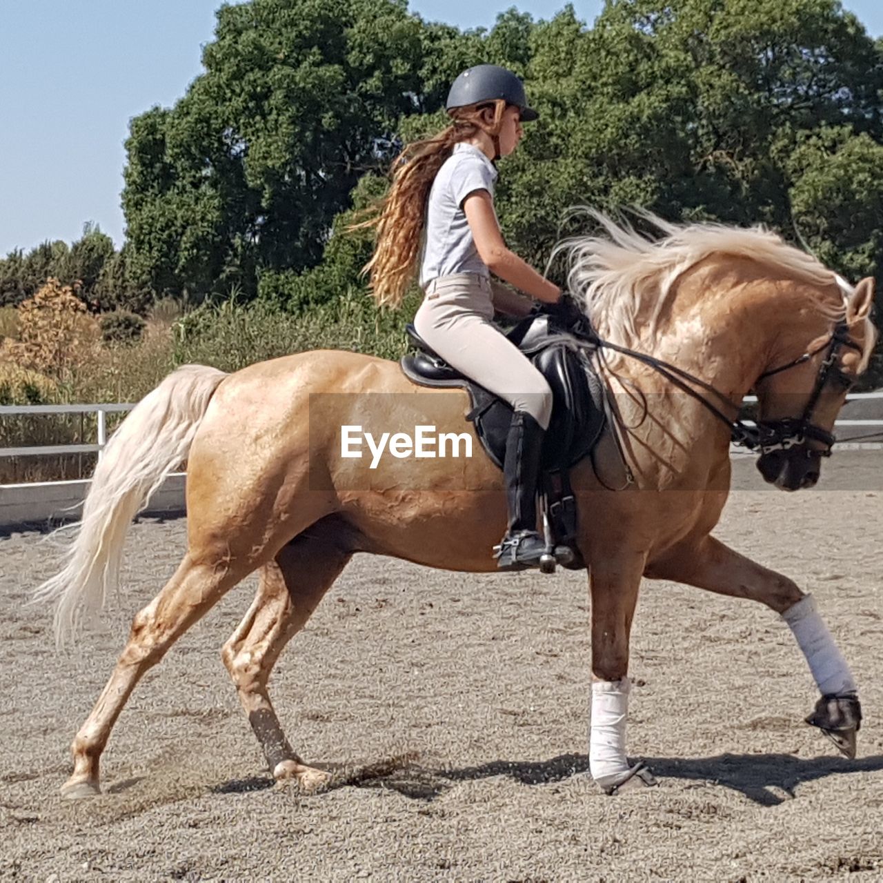 Side view of teenage girl riding horse