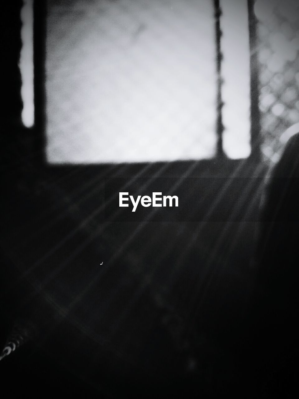 CLOSE UP VIEW OF SUNLIGHT