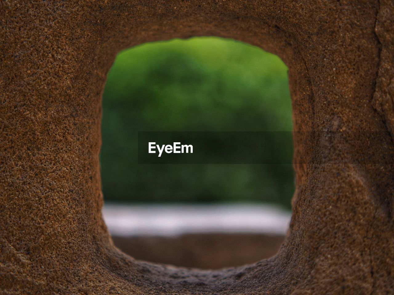 Close-up of trees seen through hole