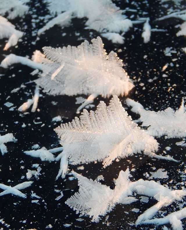 VIEW OF SNOW COVERED LANDSCAPE