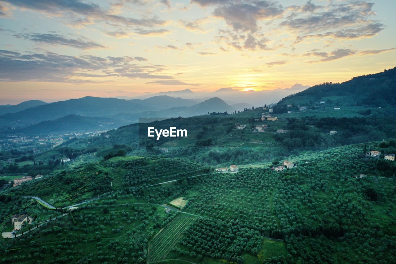 High angle view of winyards at sunset tuscany, italy 