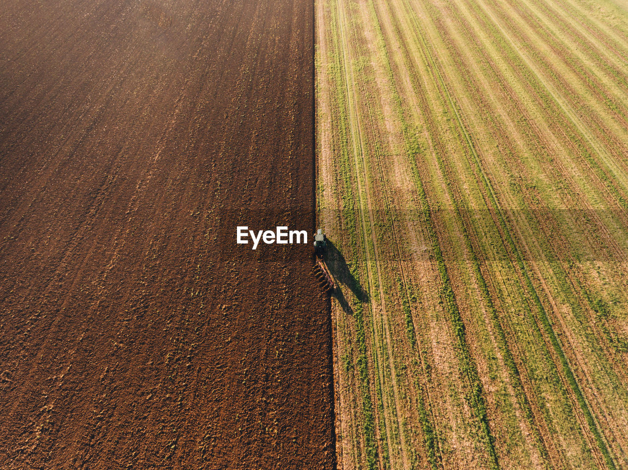 High angle view of corn field with harvester