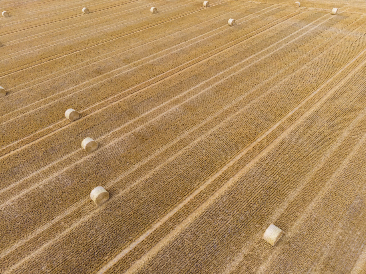 High angle view of harvested field
