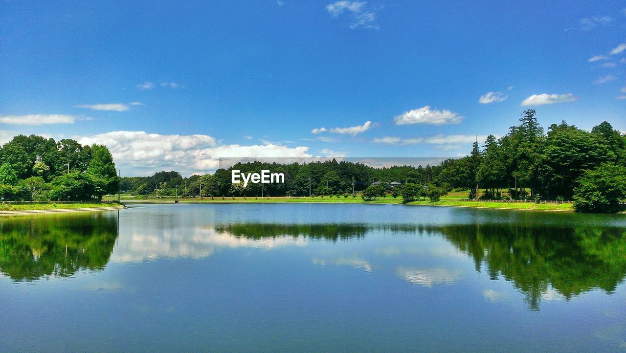 Green trees on shores of calm lake