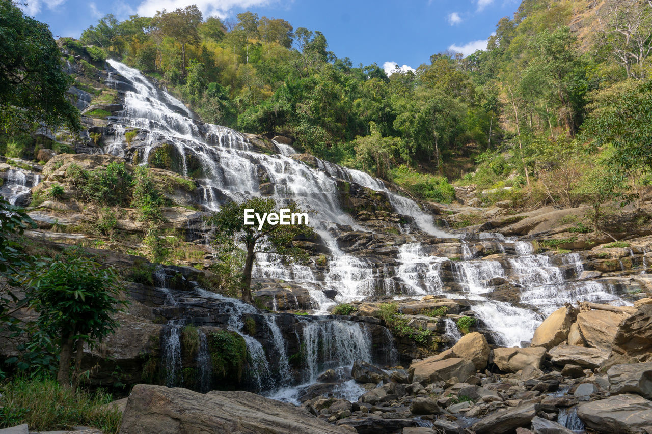 Scenic view of waterfall in forest