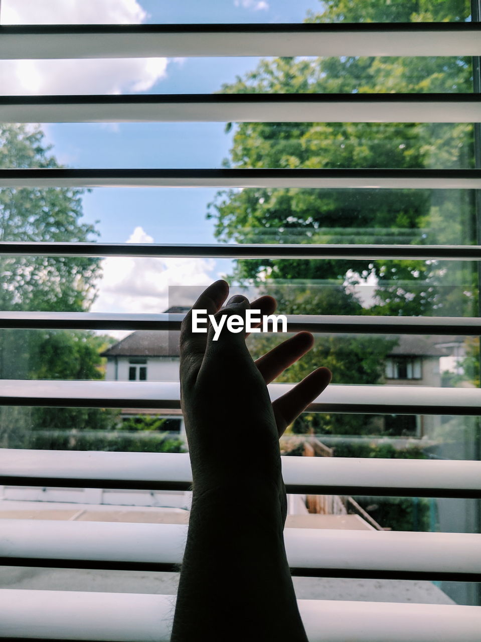 LOW SECTION OF WOMAN ON WINDOW AGAINST TREES