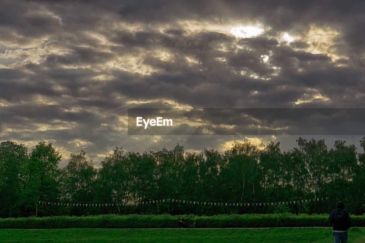 Scenic view of trees against sky