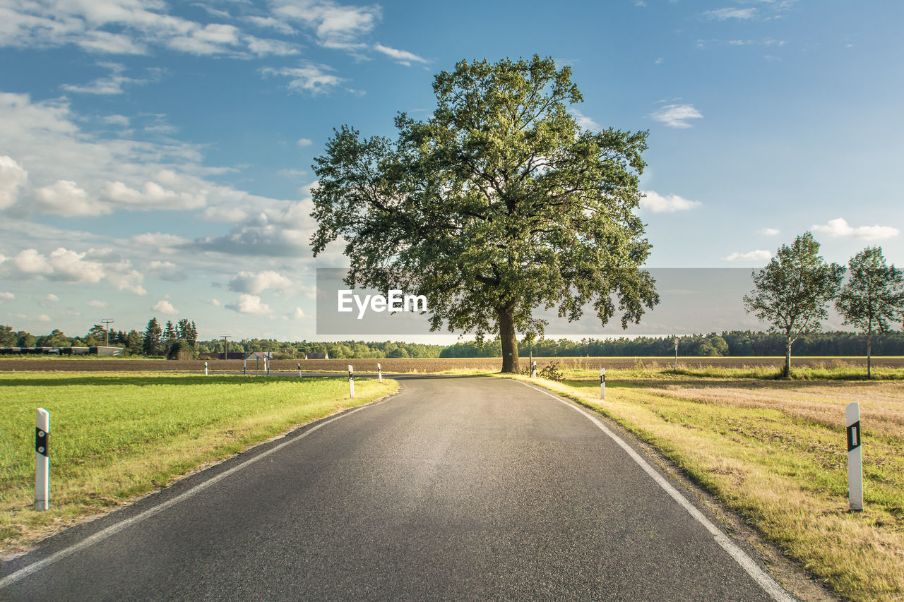 Road amidst trees against sky