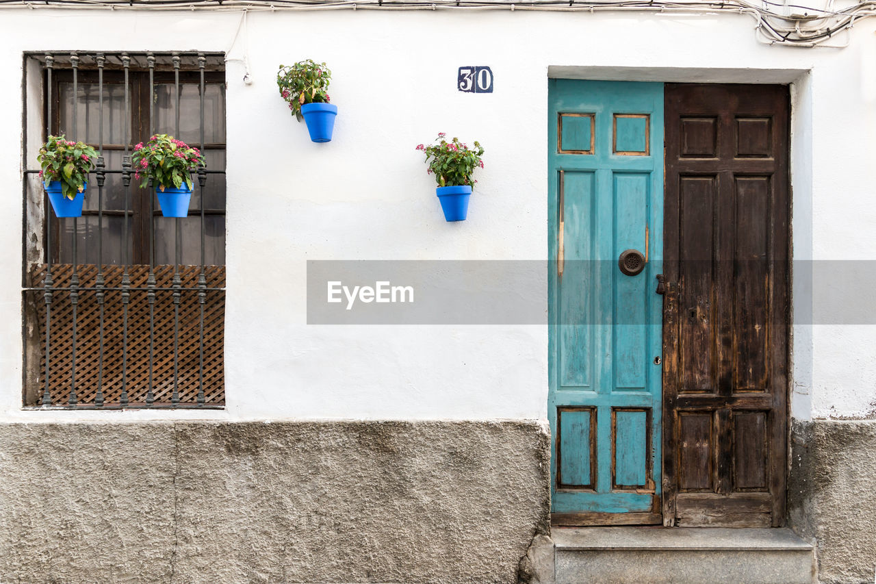 architecture, building exterior, built structure, door, entrance, building, window, blue, closed, house, no people, residential district, wall, day, facade, outdoors, city, wall - building feature, plant, potted plant, nature, flower, flowering plant, security, protection, flowerpot, wood