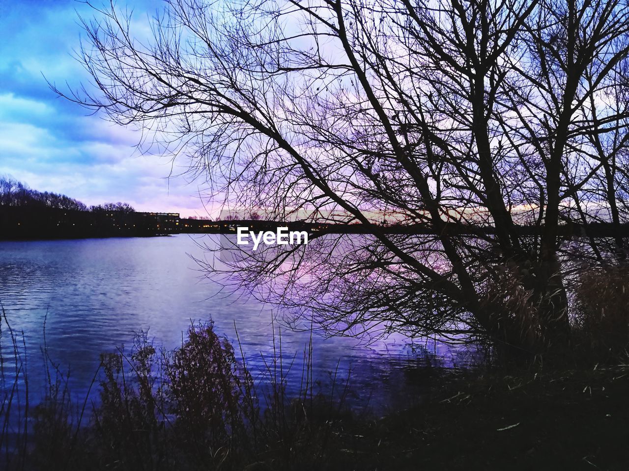 SILHOUETTE TREE BY LAKE AGAINST SKY