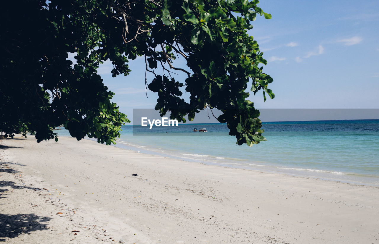 Scenic view of calm beach against cloudy sky