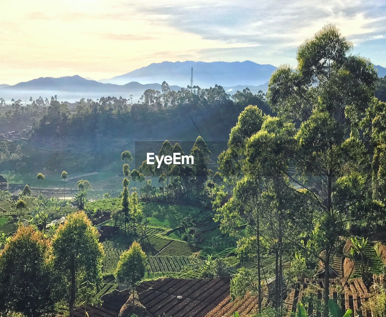 Scenic view of landscape against sky