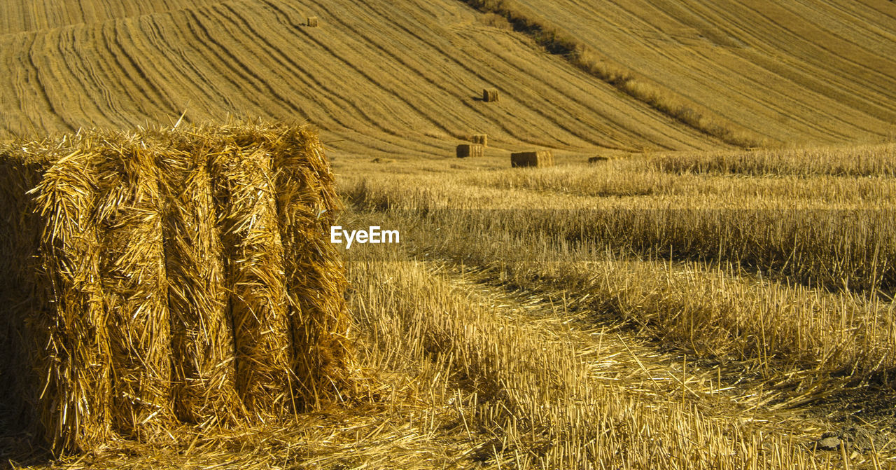 View of rural landscape