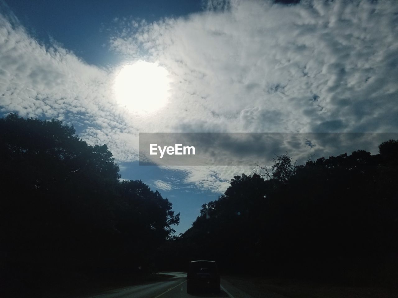 SILHOUETTE TREES BY ROAD AGAINST BRIGHT SUN