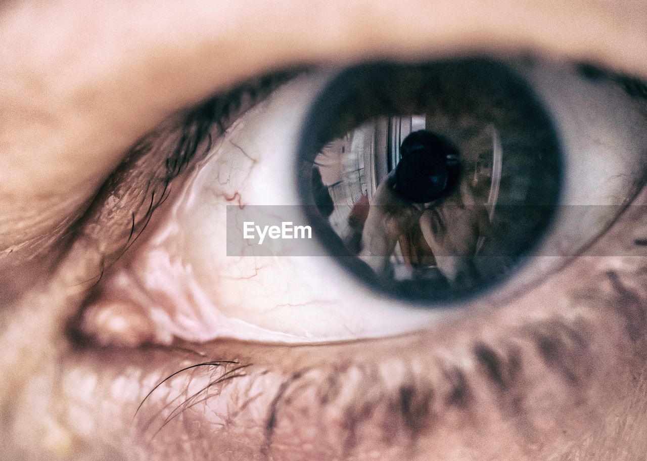 Cropped image of person eye