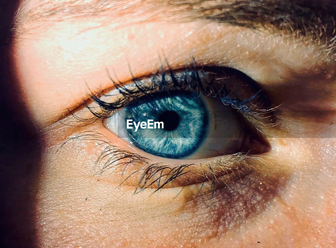 Cropped image of woman with blue eye