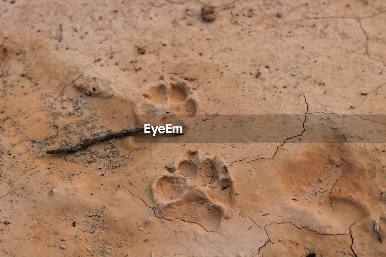 High angle view of a desert