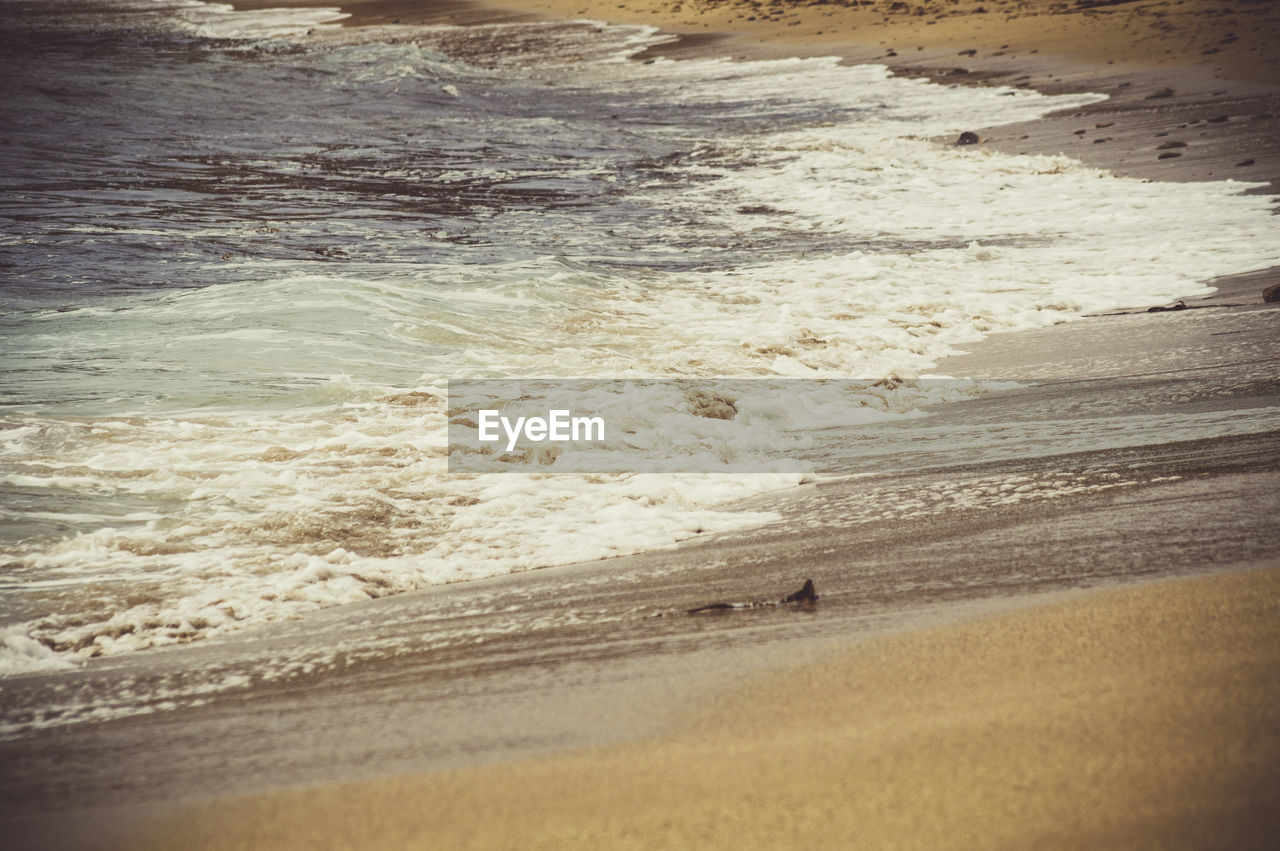 SCENIC VIEW OF SEA