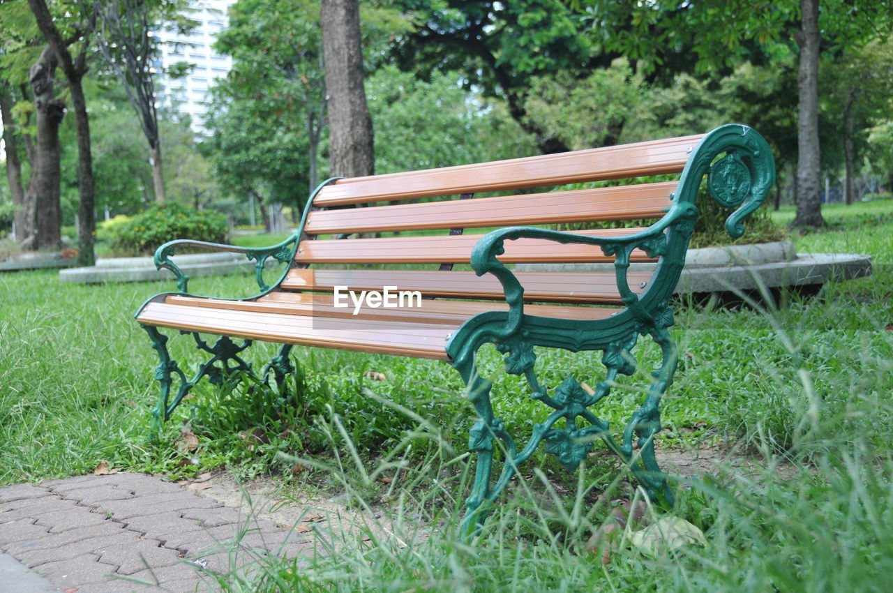 EMPTY CHAIRS IN PARK AGAINST TREES