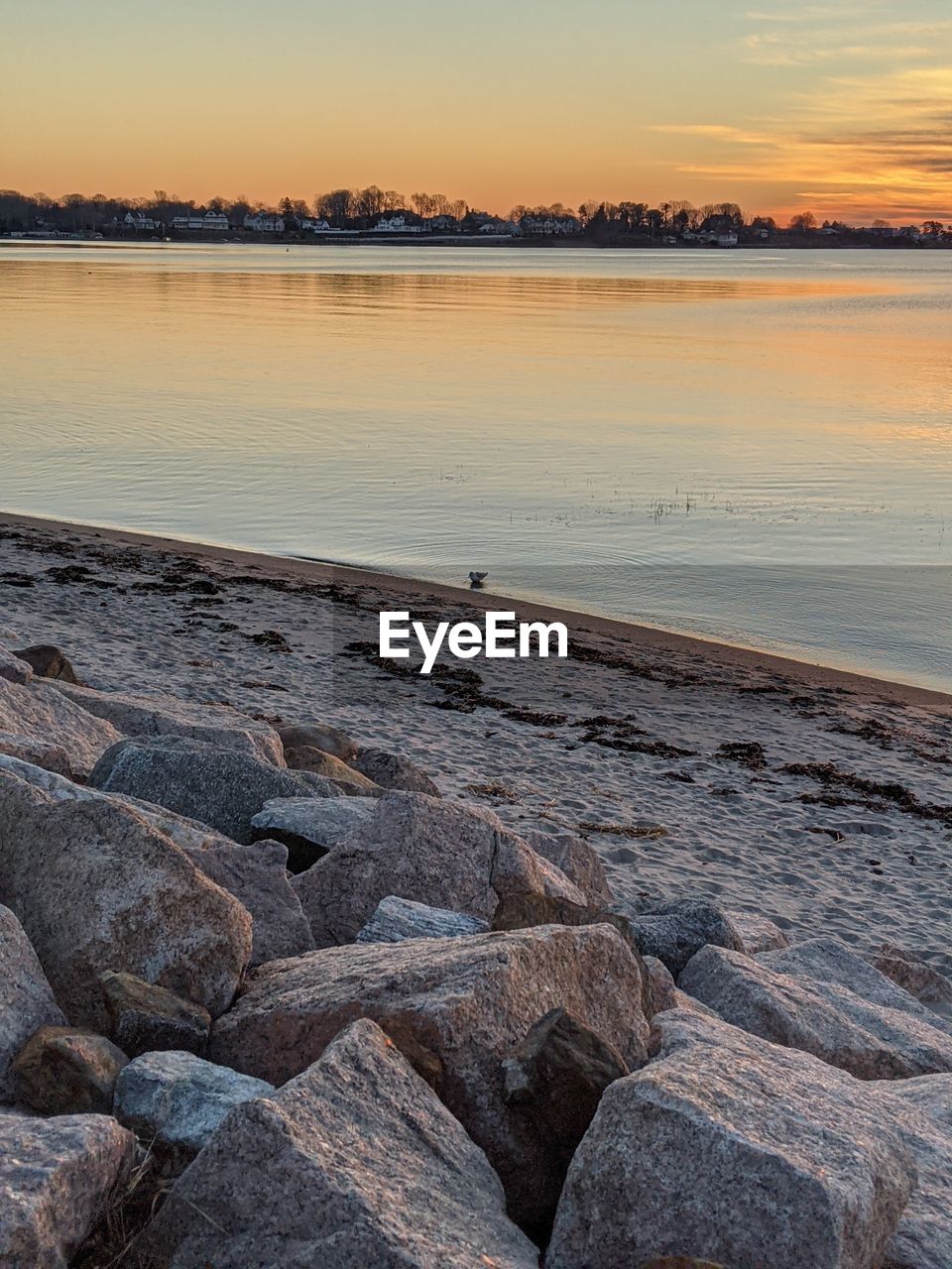 SCENIC VIEW OF BEACH DURING SUNSET