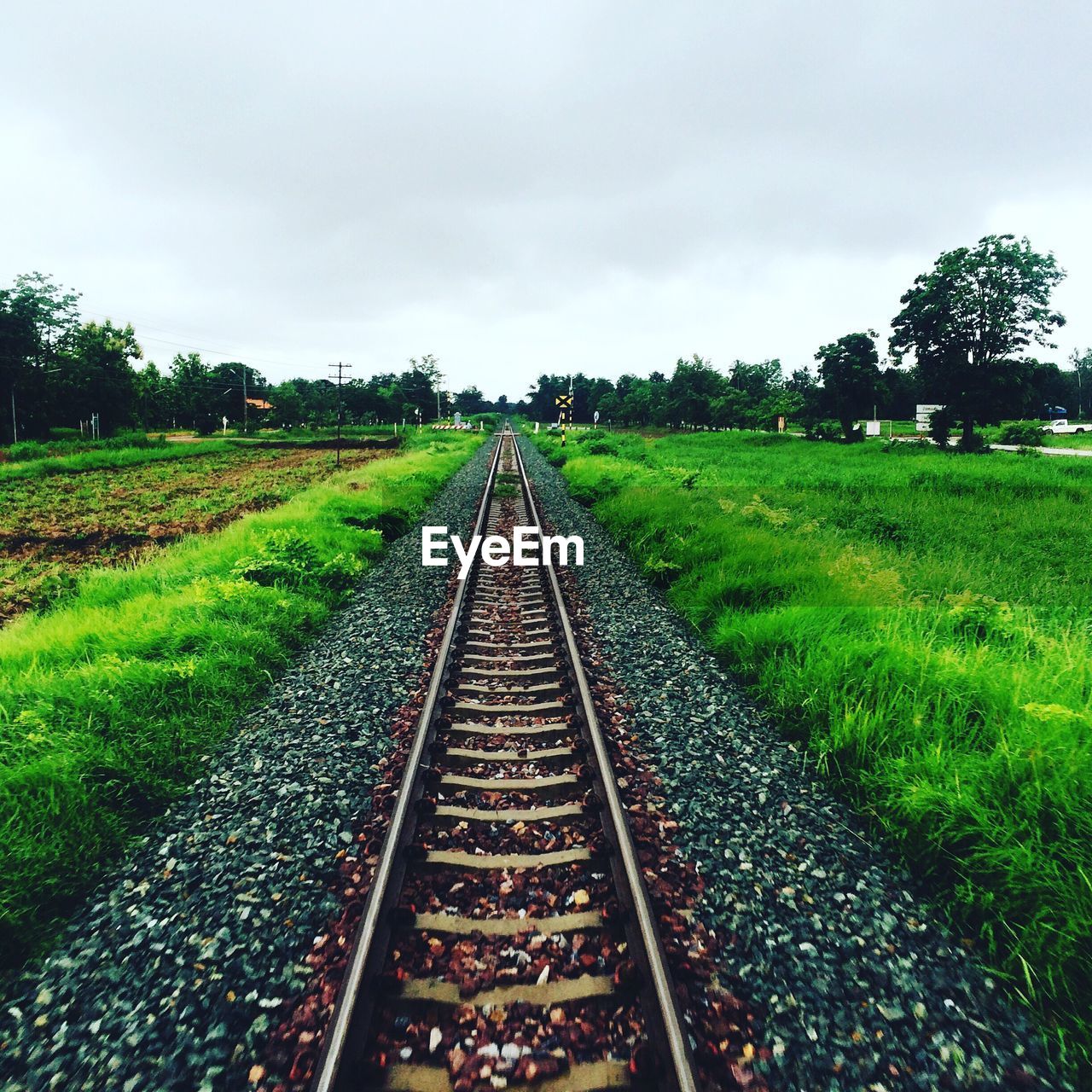 RAILROAD TRACKS ON GRASSY FIELD