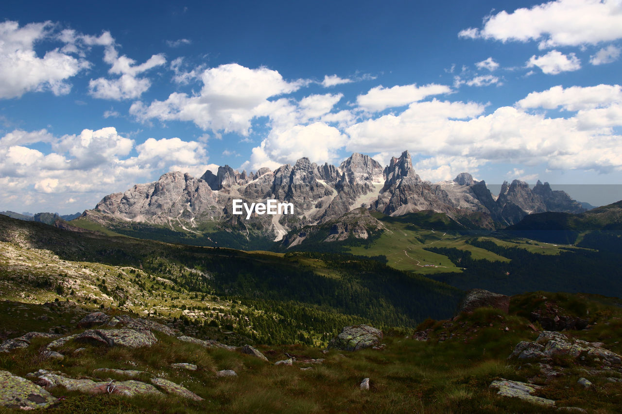 Italian alps, trentino alto adige, val di fiemme. in background pale di san martino