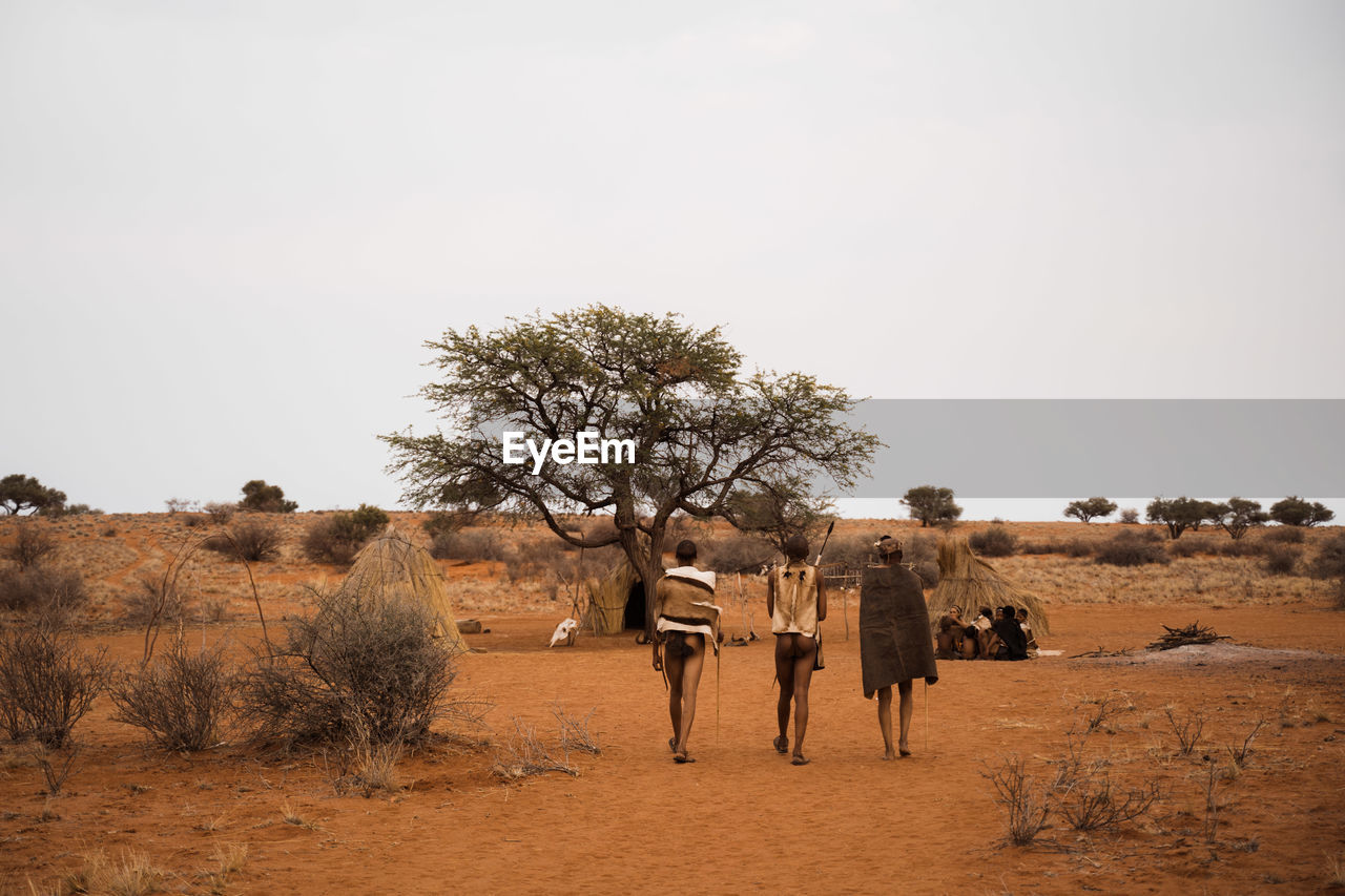 VIEW OF HORSE ON DESERT LAND