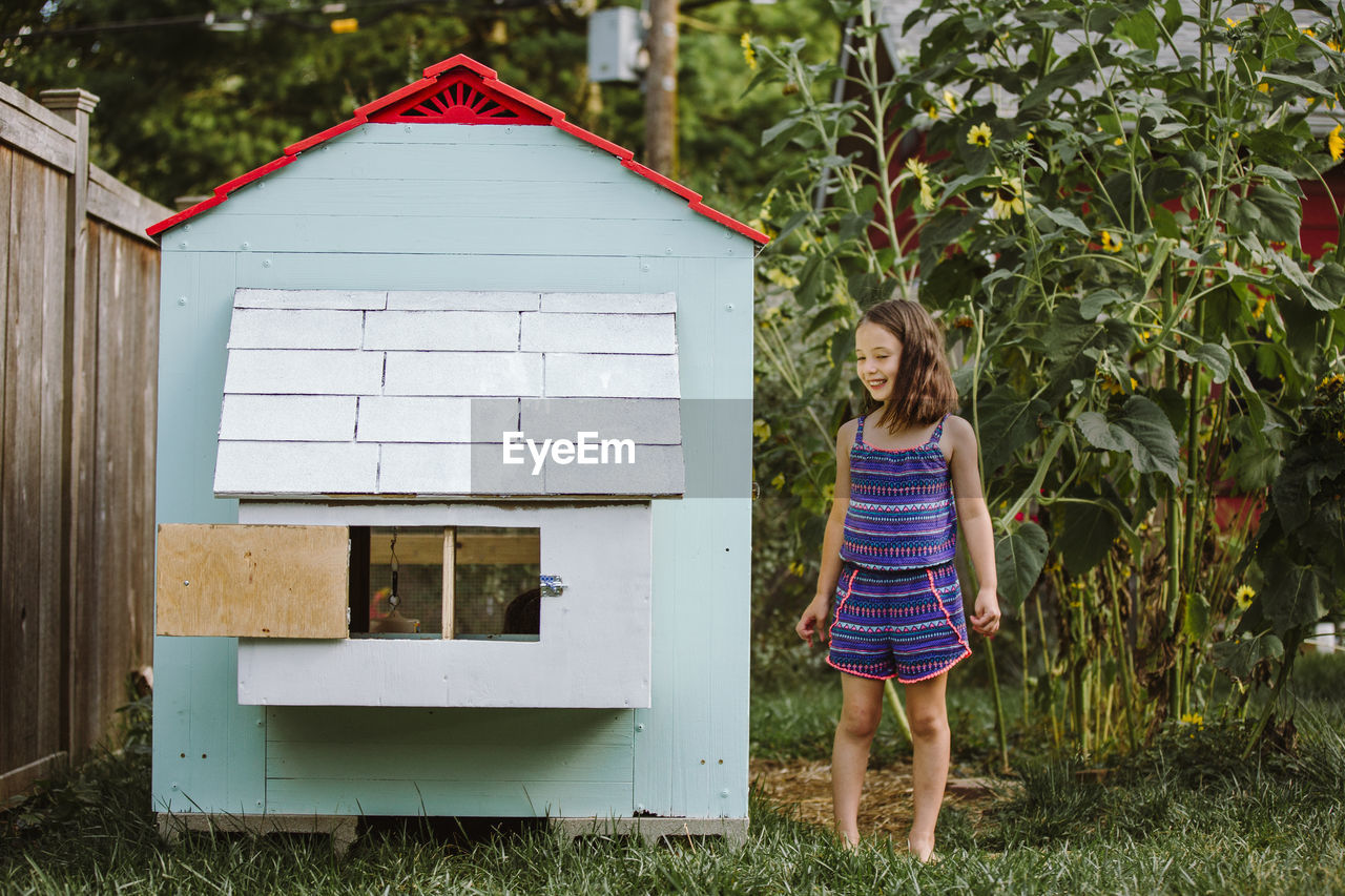 A happy little girl stands by backyard chicken coop by tall sunflowers