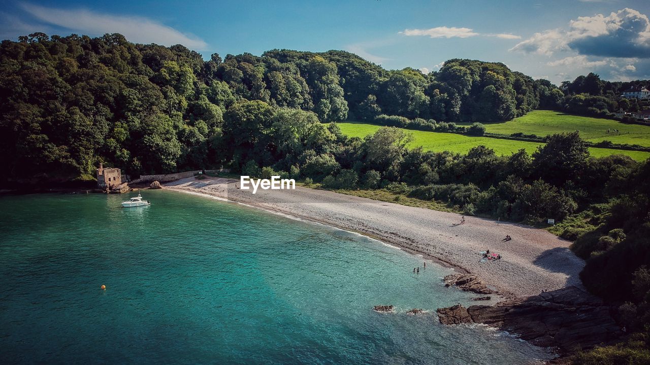 HIGH ANGLE VIEW OF TREES BY SEA