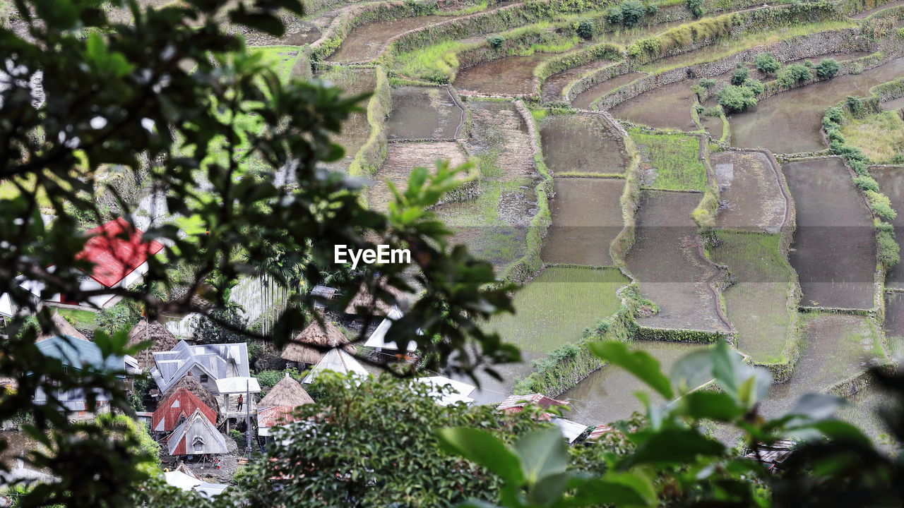 0160 the batad village cluster of the rice terraces of the philippine cordilleras. banaue-luzon-ph