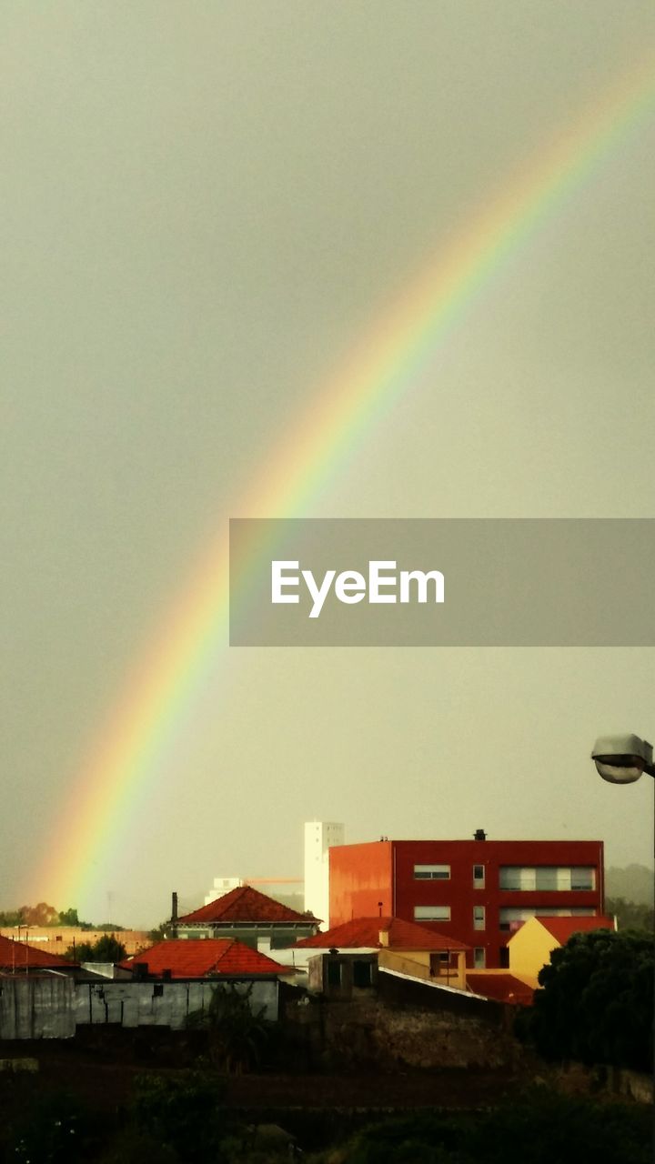 RAINBOW OVER TREES