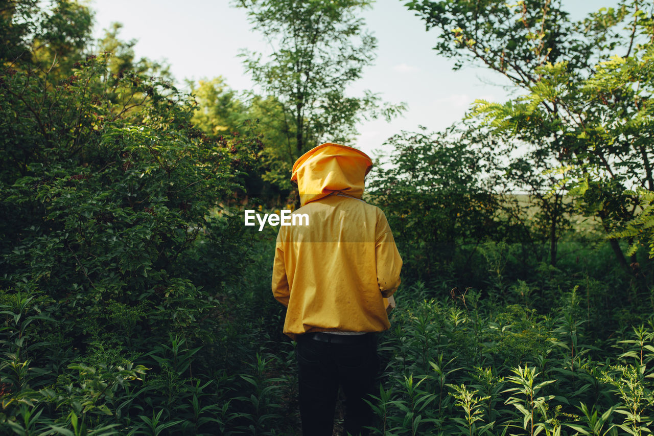 Rear view of beekeeper standing amidst trees