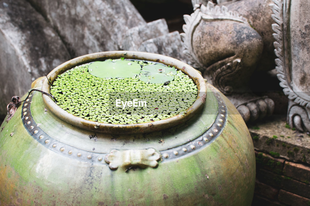 green, art, container, food and drink, no people, metal, food, drink