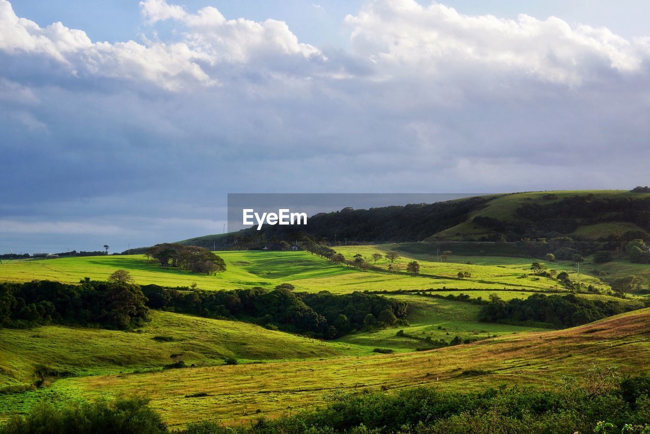 Scenic view of agricultural field against sky