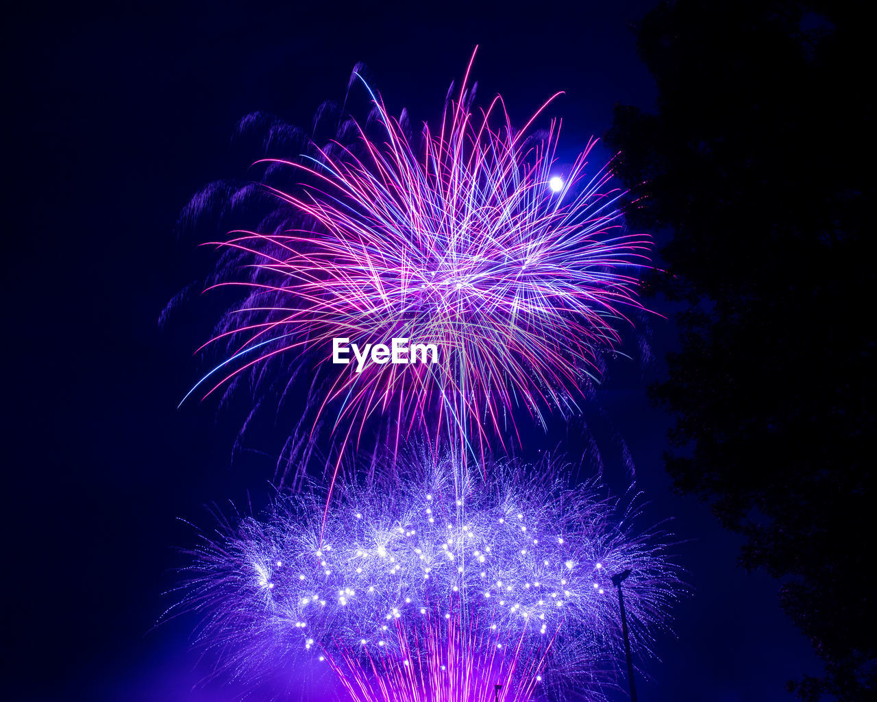LOW ANGLE VIEW OF FIREWORK DISPLAY AT NIGHT SKY