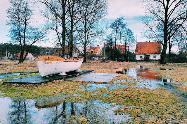 BARE TREES IN WATER