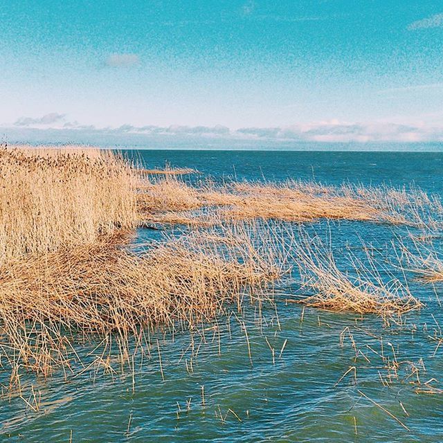 VIEW OF SEA AGAINST BLUE SKY