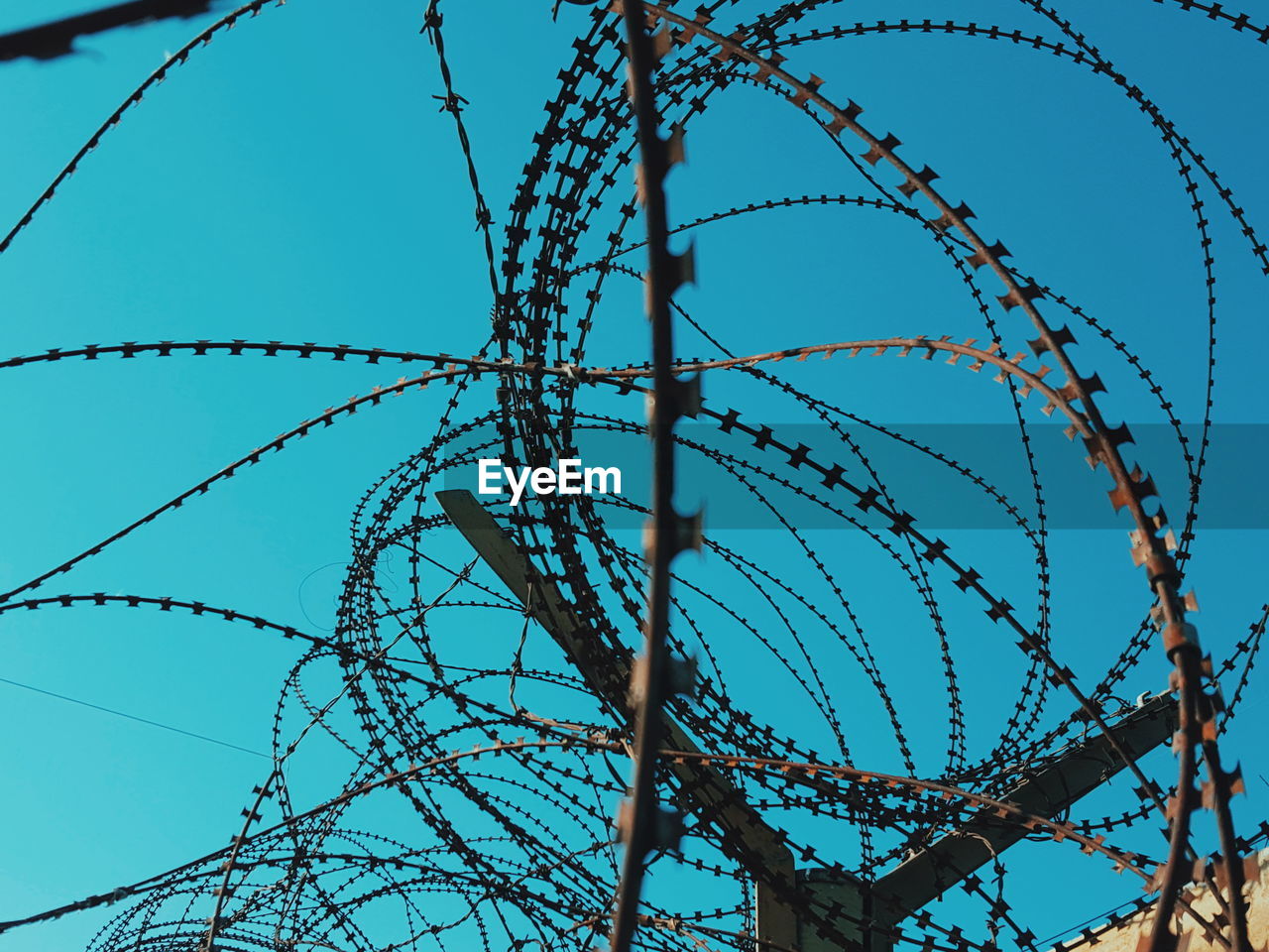 Close-up of spiral razor wire fence