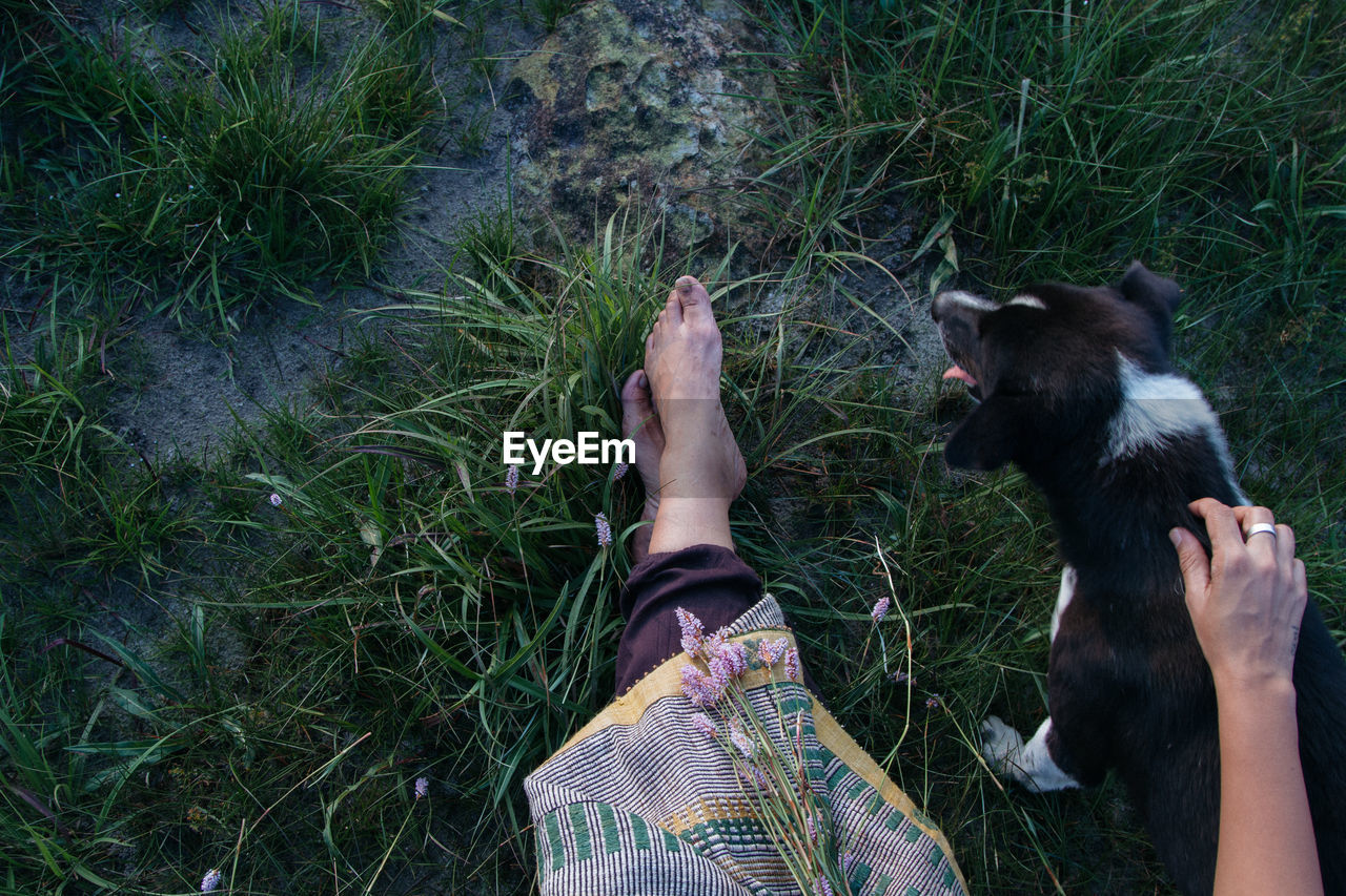 Low section of woman with dog on grassy field