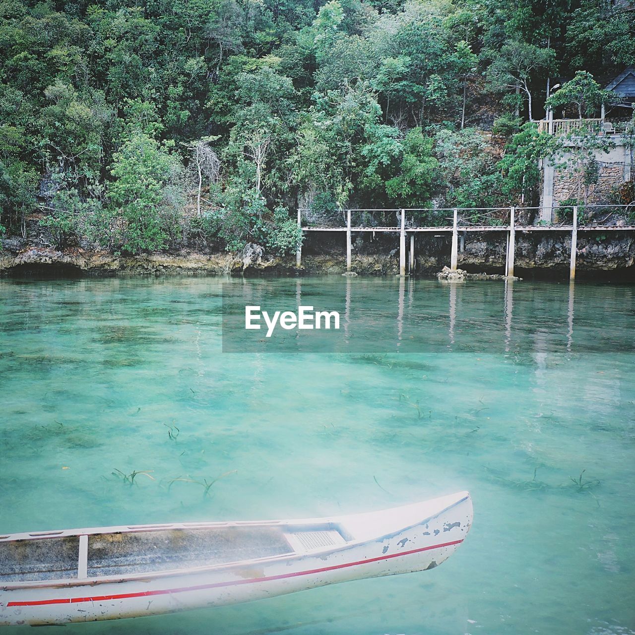 Boat moored on sea against trees