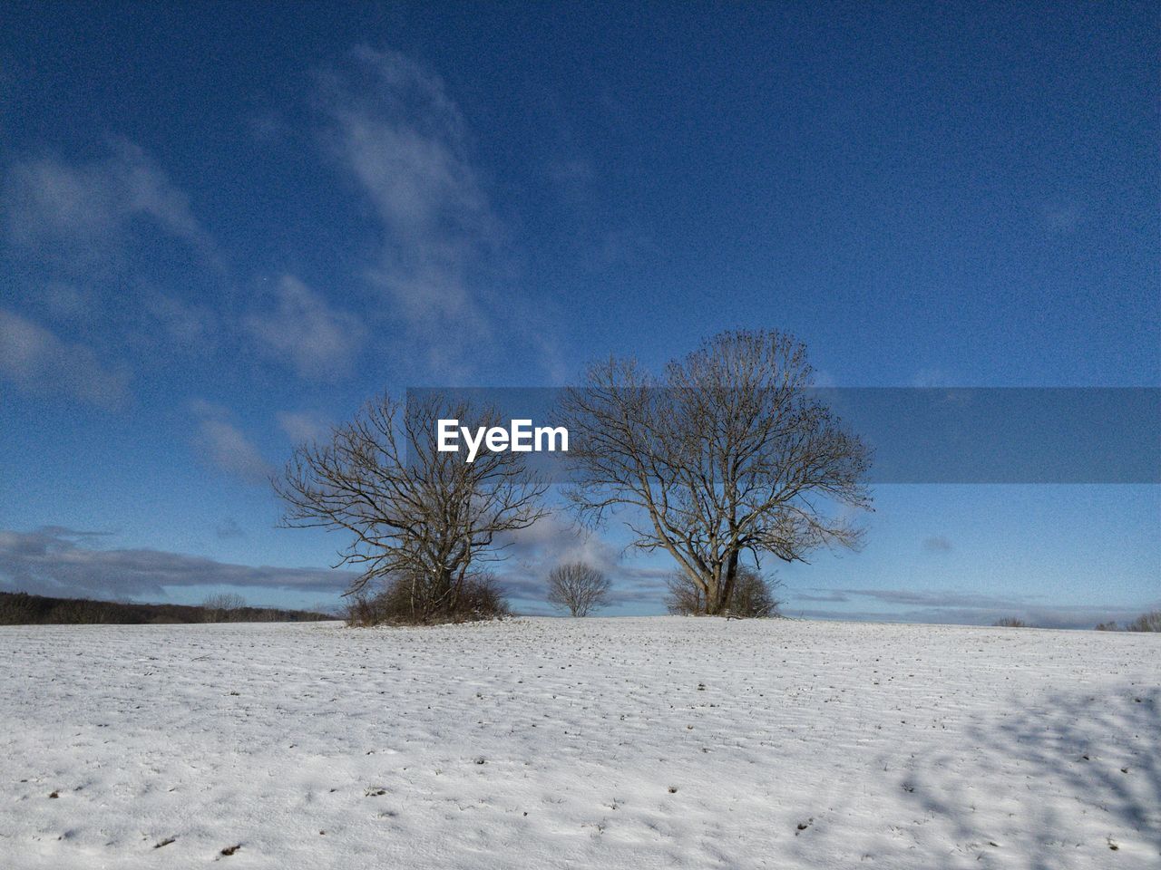 Bare tree on snow covered field against sky