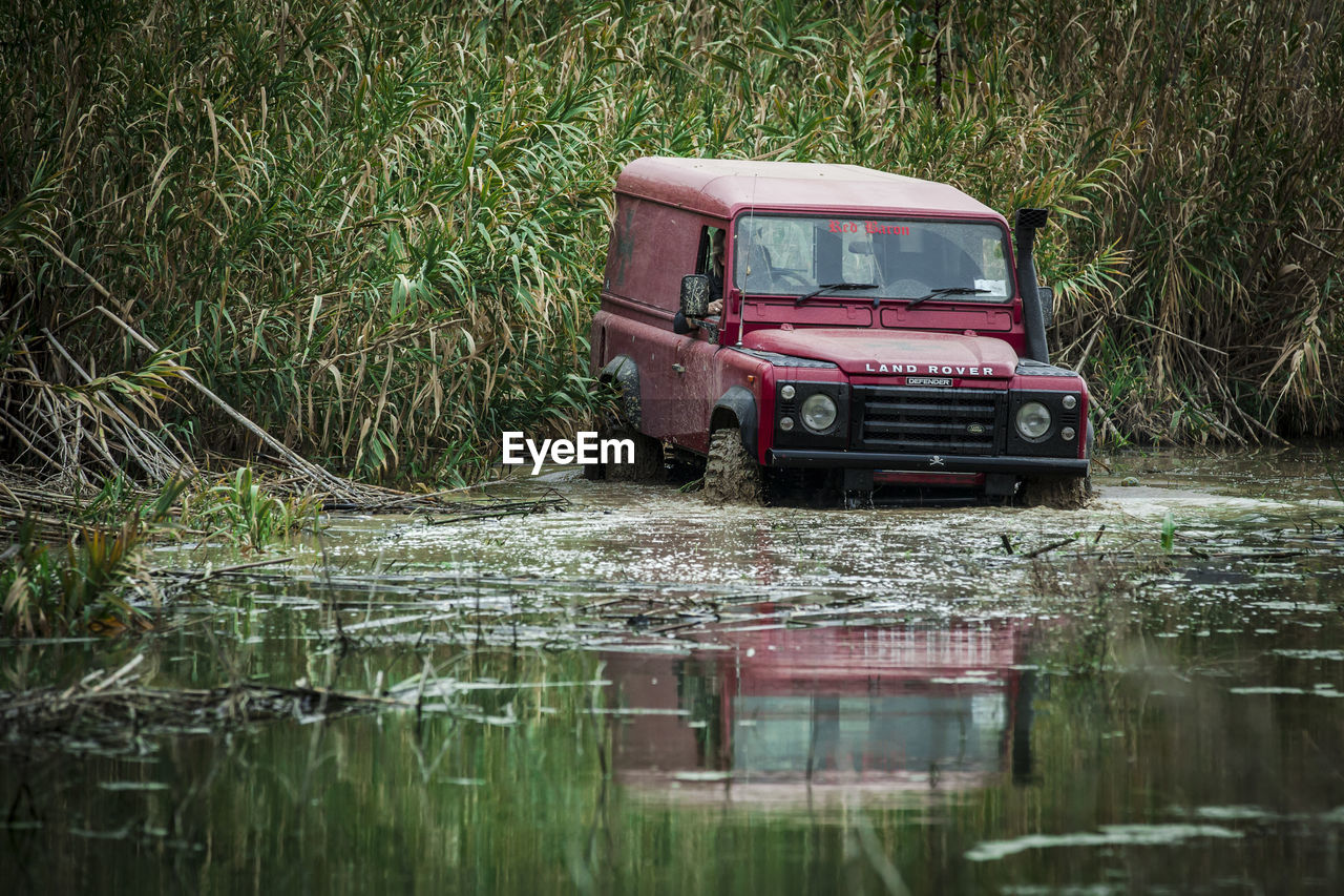 VINTAGE CAR BY GRASS