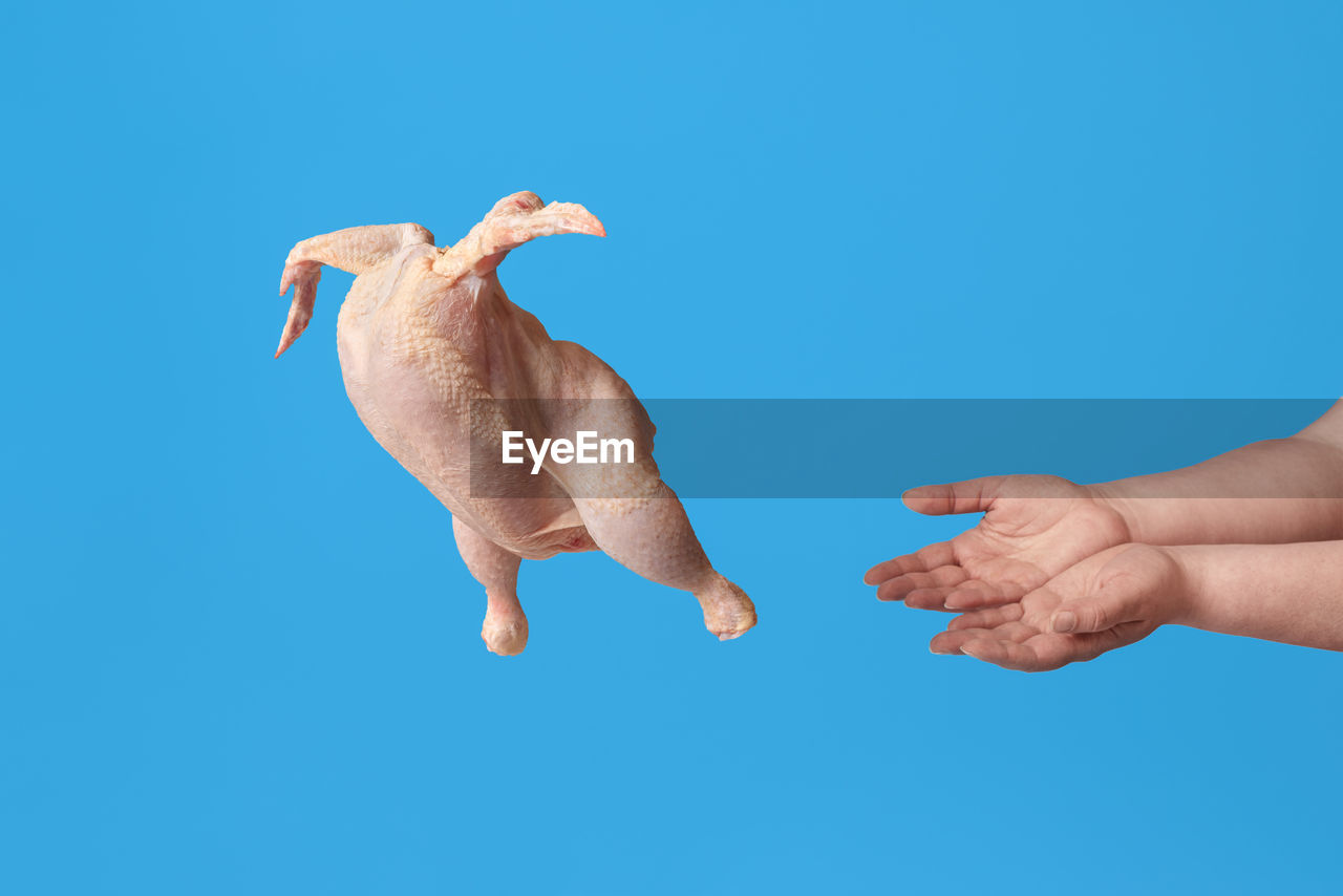 LOW ANGLE VIEW OF HUMAN HAND AGAINST BLUE BACKGROUND