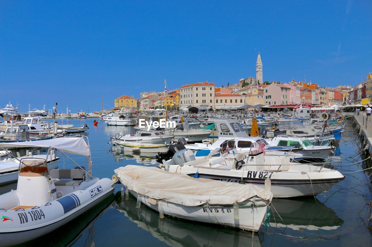 Sailboats moored in harbor