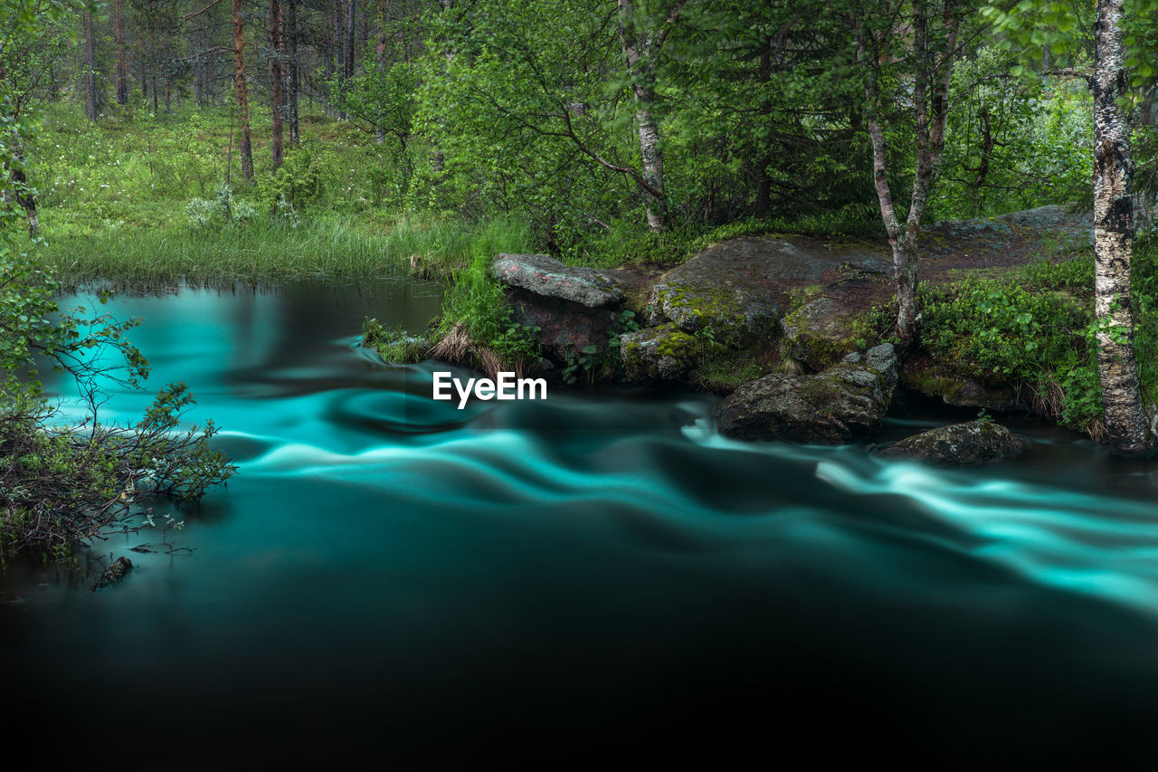 SCENIC VIEW OF LAKE IN FOREST AGAINST SKY