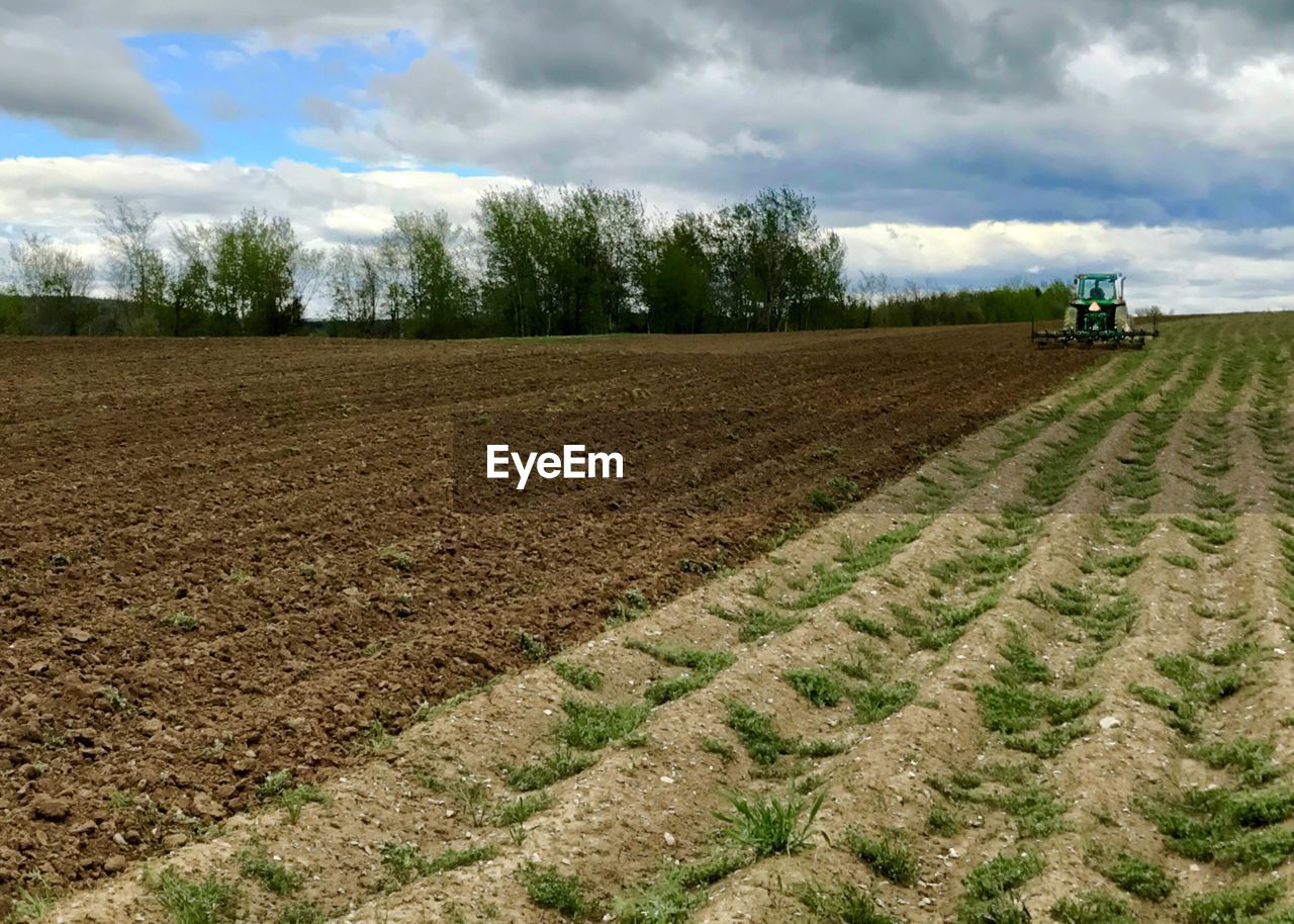 SCENIC VIEW OF FIELD AGAINST CLOUDY SKY