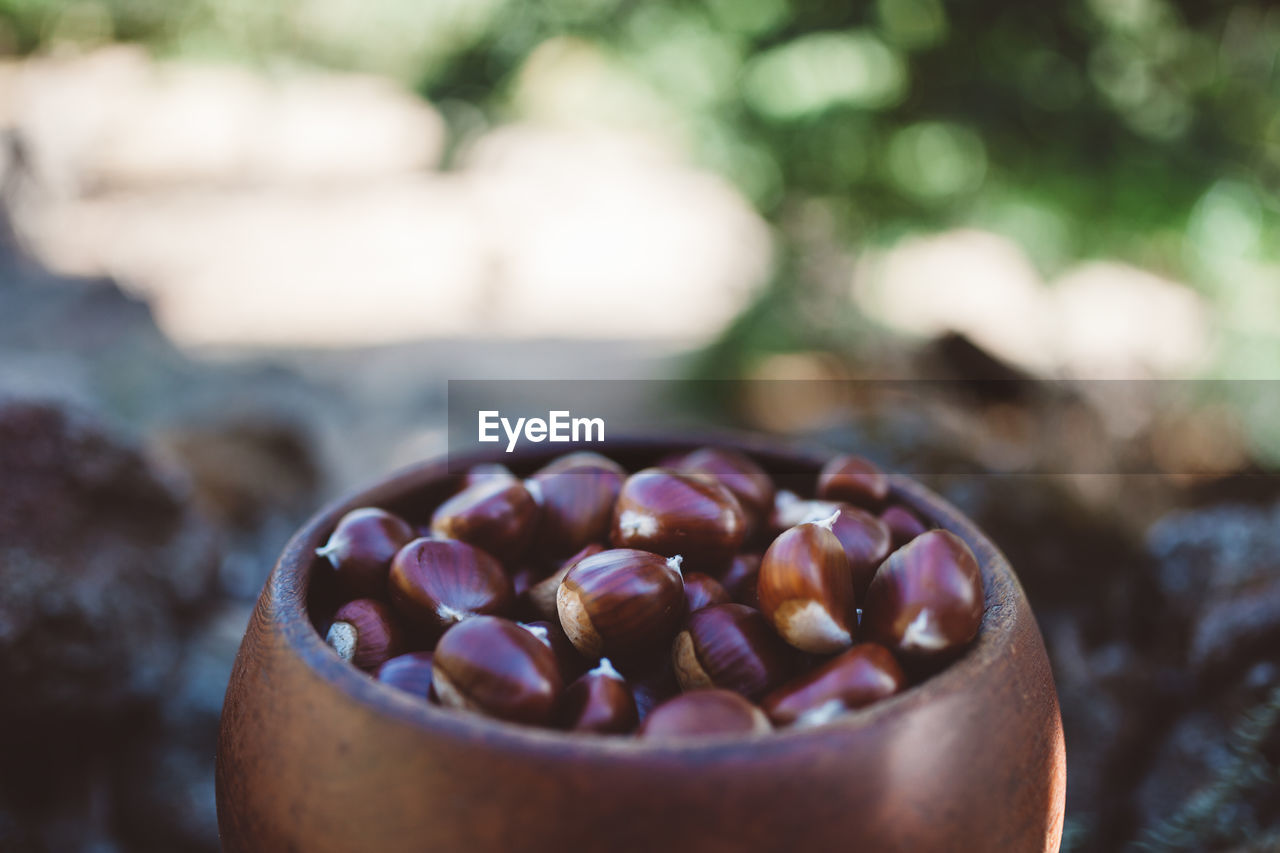 Close-up of chestnuts in container