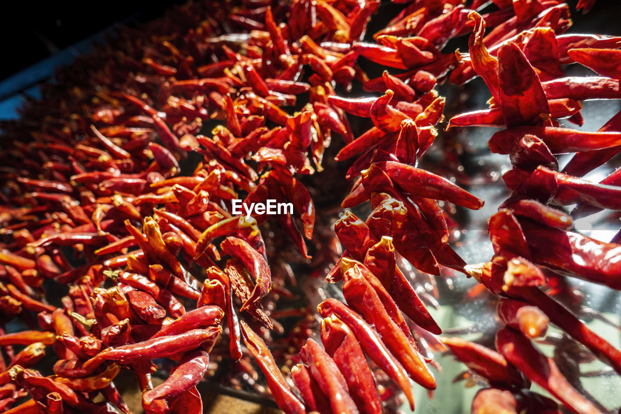 Full frame shot of red chili peppers